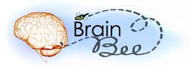 دانش مغز Brain bee